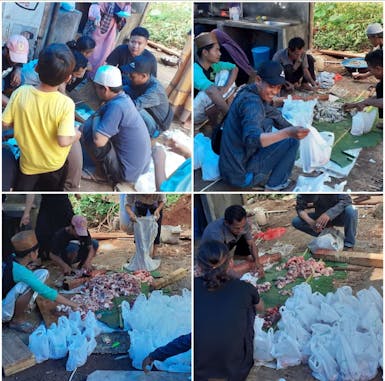 gerakan berbagi hewan qurban