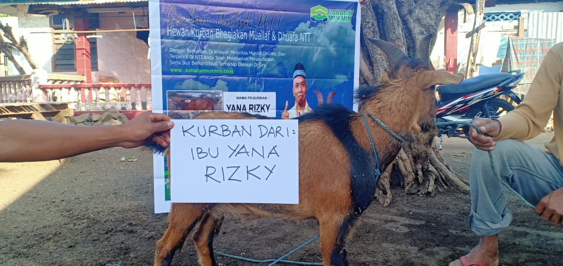 Tebar Daging Kurban Untuk Banjir NTT