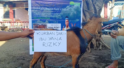 Tebar Daging Kurban Untuk Banjir NTT