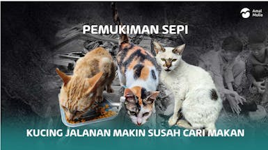 Bantu Ribuan Anabul Korban Gempa Cianjur