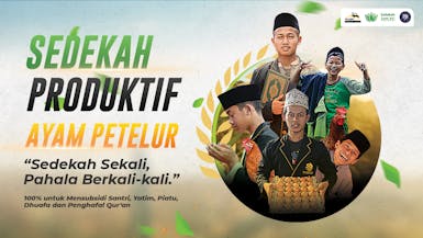 Sedekah Produktif Ayam Petelur untuk Santri, Yatim, Piatu, Dhuafa dan Penghafal Quran