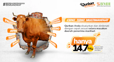Qurban Sapi, Peduli Maksimal dan Raih Pahala Istimewa
