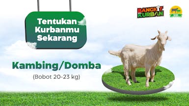Bangkit Berkurban : Kurban Kambing/Domba