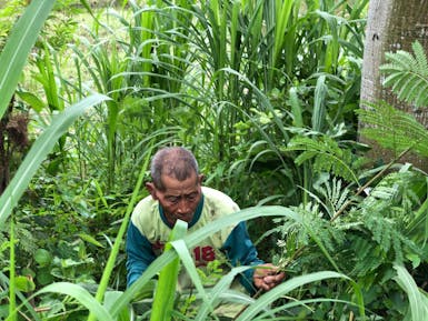 50 Hidup ditengah Hutan, Tanpa Penerangan