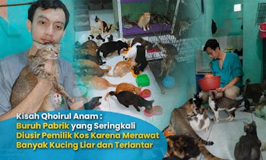 Bantu Qhoirul Anam Untuk Bisa Terus Merawat Kucing-Kucing Liar dan Terlantar