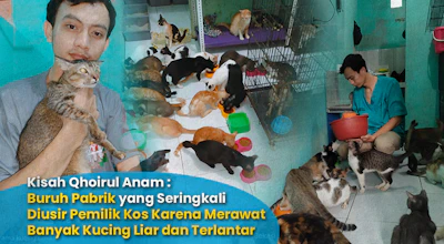 Bantu Qhoirul Anam Untuk Bisa Terus Merawat Kucing-Kucing Liar dan Terlantar