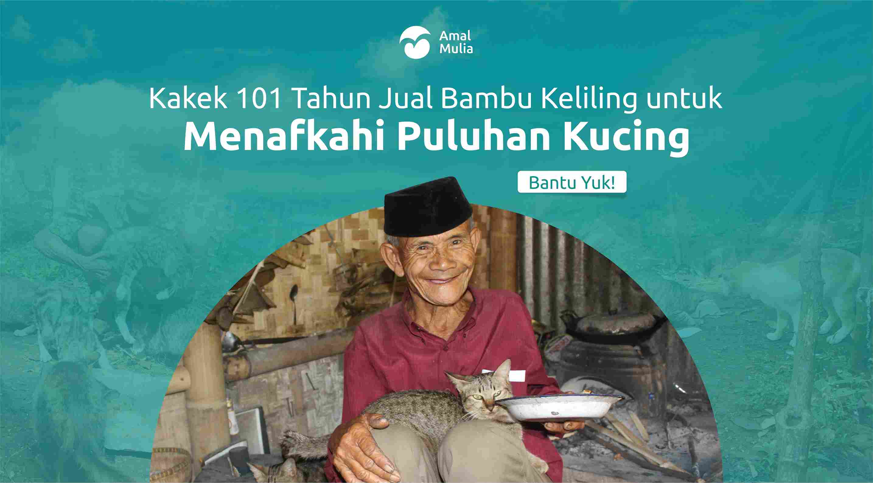 Bantu Abah Bambu Pahlawan Kucing Merawat Anabul Terlantar