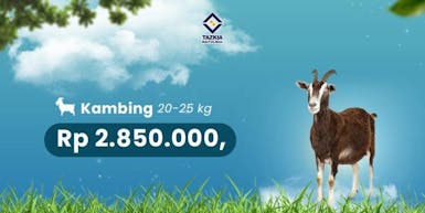 QURBAN KAMBING UNTUK PELOSOK NEGERI
