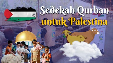 Sedekah Qurban Untuk Palestina