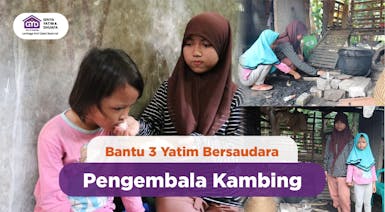 Bantu 3 Yatim Bersaudara Pengembala Kambing