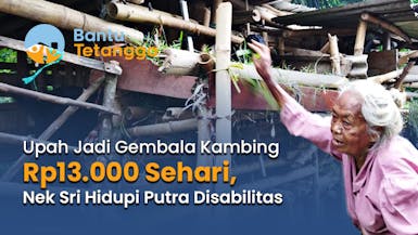 Nek Sri (80) Rela Gembala Kambing Tetangga demi Hidupi Anak Disabilitas