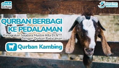 Bahagiakan Saudara Muslim kita di NTT dengan Qurban Pedalaman-Kambing