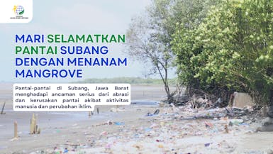 Misi Menyelamatkan Pantai Subang dengan Menanam Mangrove