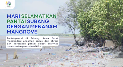 Misi Menyelamatkan Pantai Subang dengan Menanam Mangrove