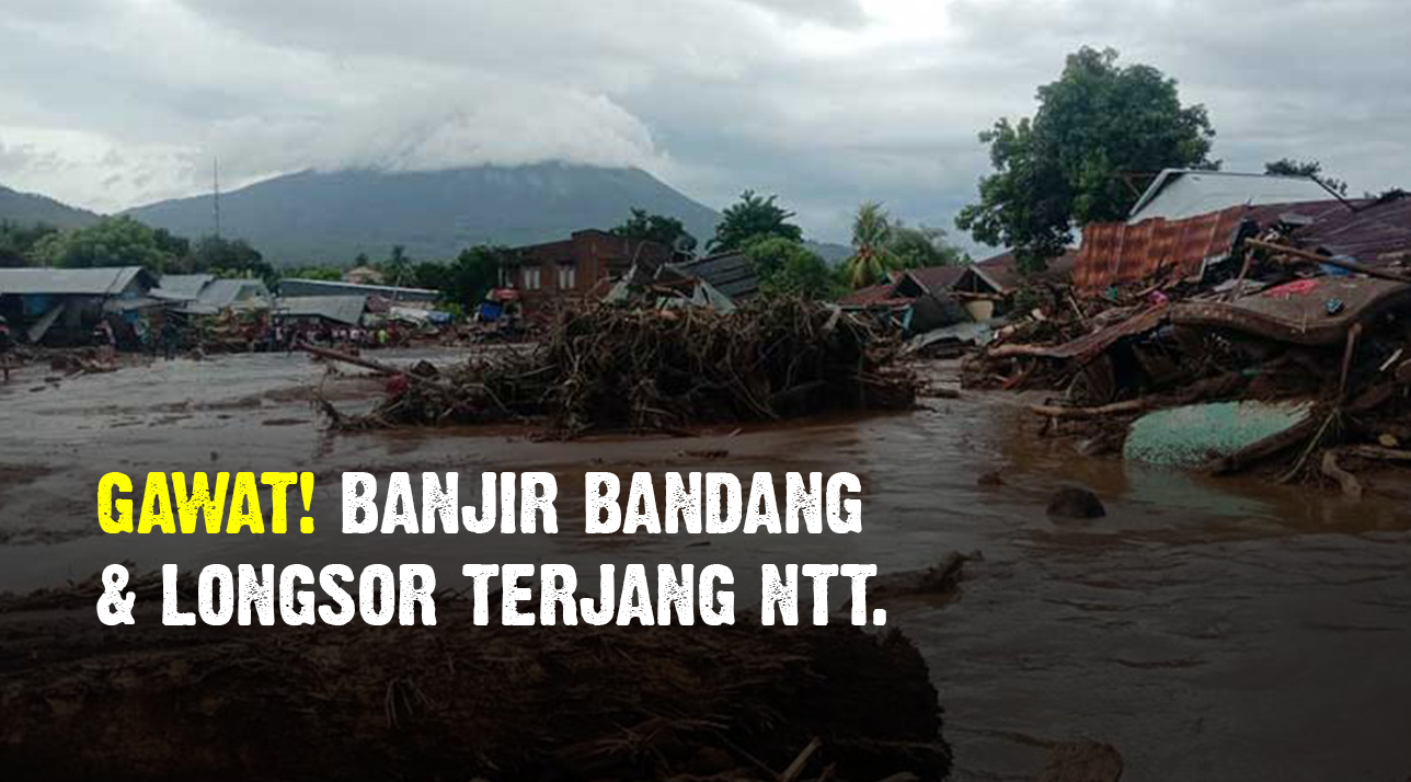 DARURAT! Banjir Bandang dan Longsor Flores NTT!!!