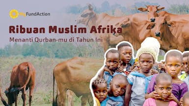 Qurban untuk Afrika