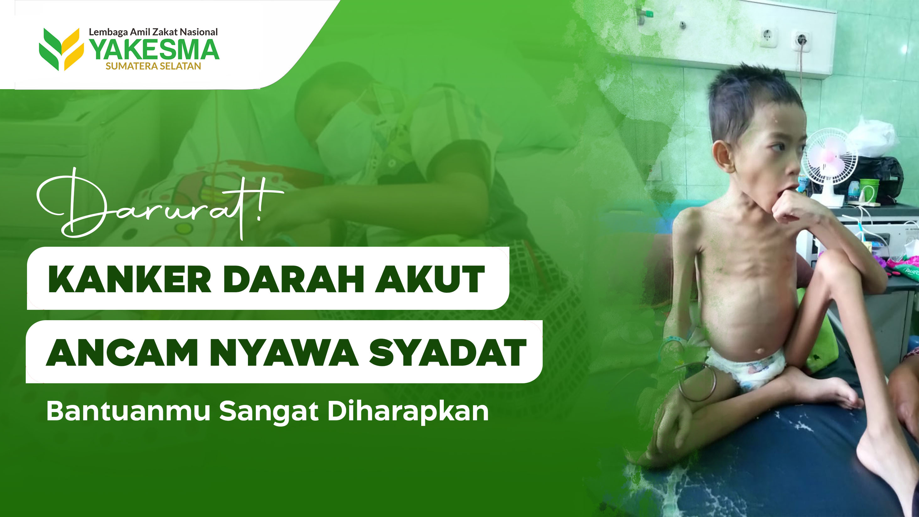 Darurat! Kanker Darah Akut Ancam Nyawa Syhadat