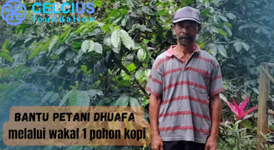 Bantu Petani Dhuafa melalui wakaf satu pohon kopi