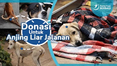 Bantu Anjing Liar Terlantar