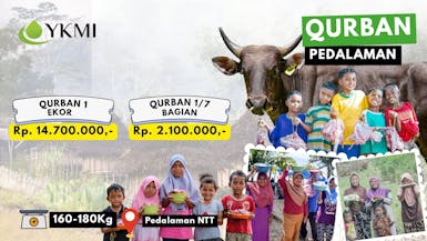 Qurban Sapi di Pedalaman