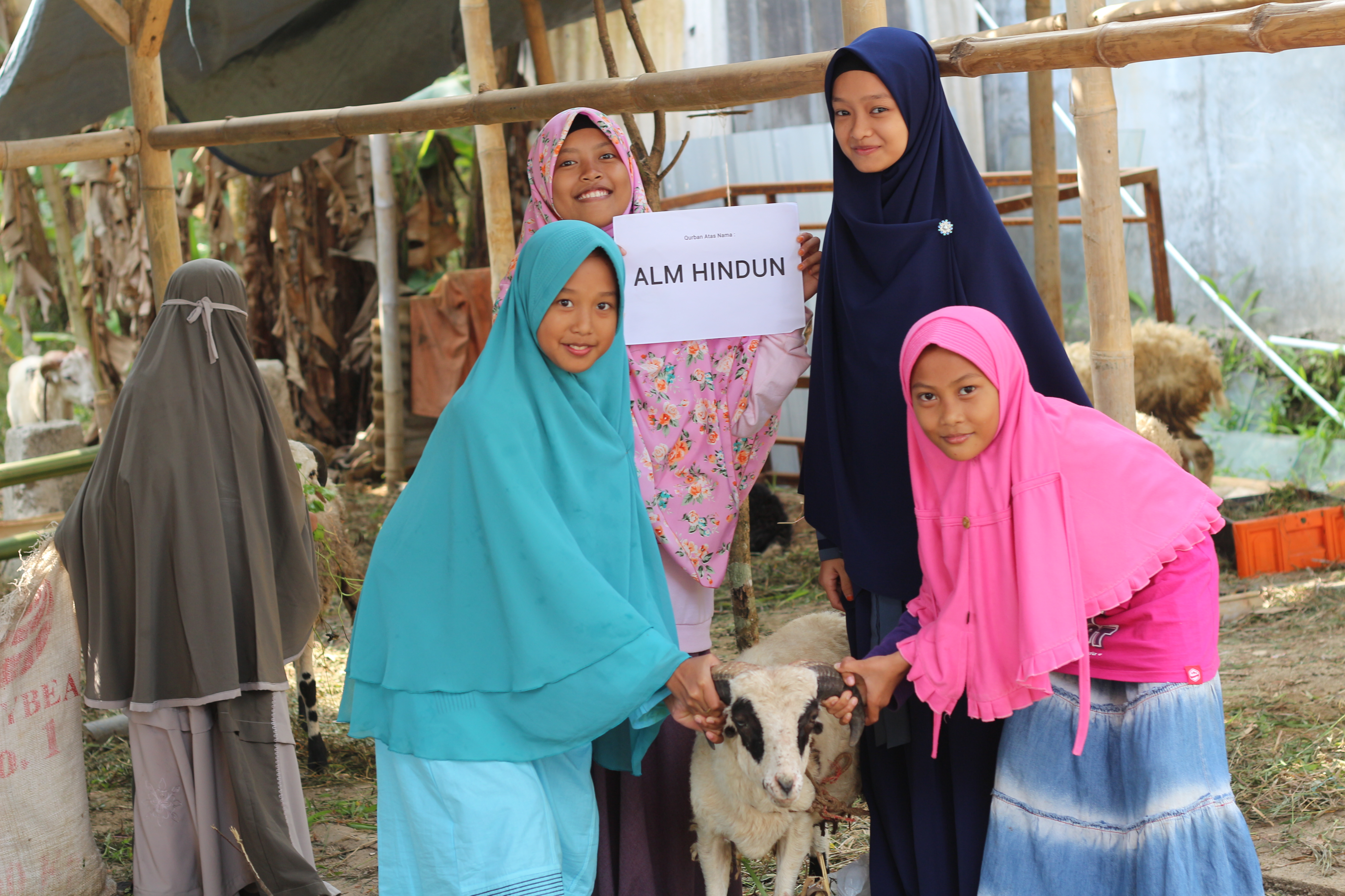 Qurban Rumah Yatim Indonesia - Jawa